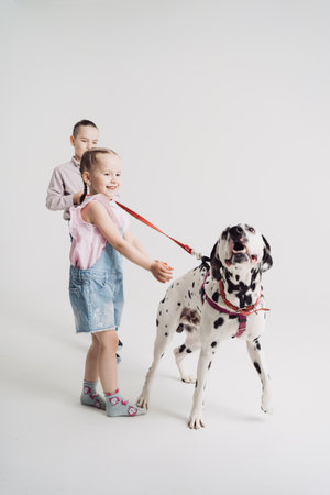 School boy and his little sister playing with a dalmatian dog on white background. Kids spend time with their petの写真素材