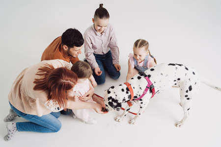 Young Family with kids playing with a dalmatian dog on white backgroundの写真素材