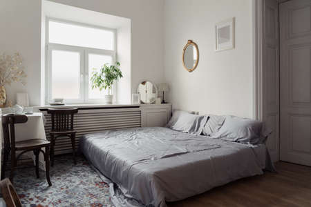 White room with sofa and a tropical green plant and a mirror. Beautiful interior design. Real image