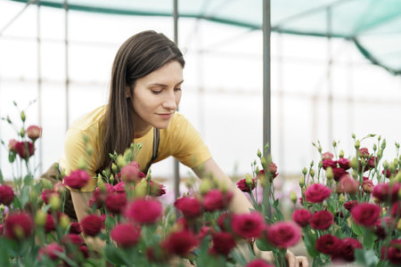 Young florist in apron working in greenhouse. Cheerful woman working with flowers, inspecting them...