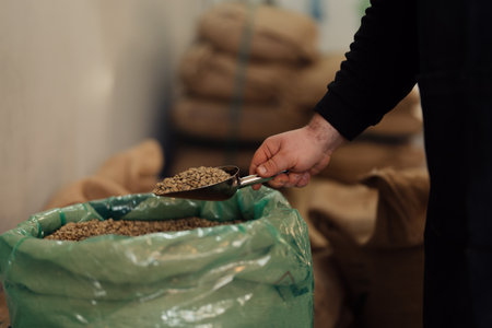 Crop man scooping coffee beans from bagの写真素材