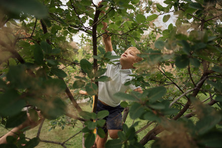 Young boy climbing a tree in green outdoor settingの写真素材
