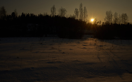 Sun is going down behind trees. Winter sunset.の写真素材