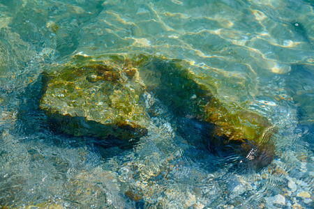 Rocks and stones under water.の写真素材