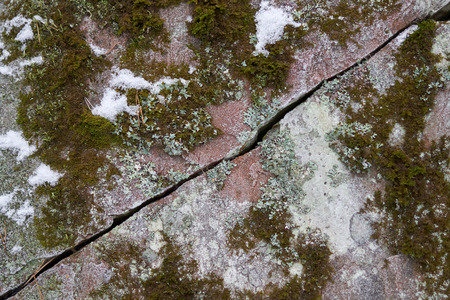 Cracked rock. Natural background.の写真素材