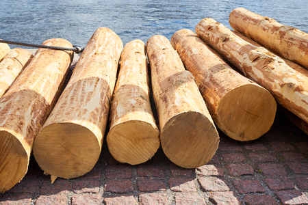 Timber logs on the paving slab.の写真素材