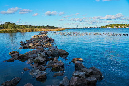 Geese near the natural stone dam on the river. Natural background. Copy space.の写真素材