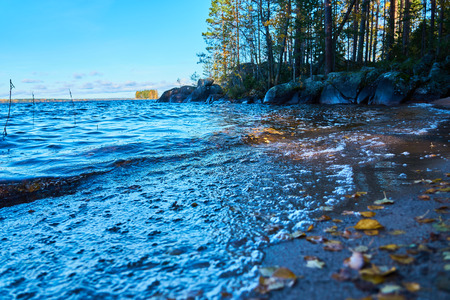 Colorful autumn leaves on a sandy coast of a lake. Waves of water, trees and horizon on a blurred background.の写真素材