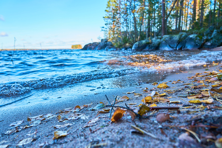 Colorful autumn leaves on a sandy coast of a lake. Waves of water, trees and horizon on a blurred background.の写真素材
