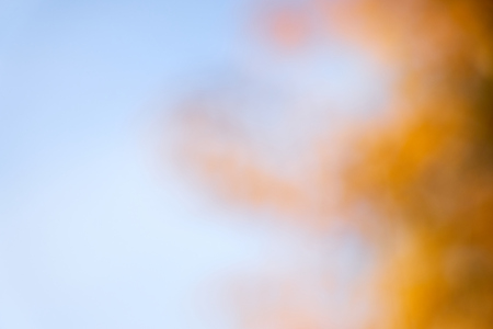 Autumn leaves against blue sky. Blurred background bokeh. Copy space.の写真素材