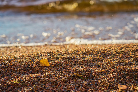 Yellow autumn leaf on a beach with blurred waves on a background on sunny day.の写真素材
