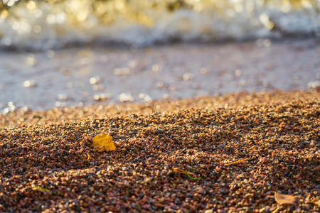 Yellow autumn leaf on a beach with blurred waves on a background on sunny day.の写真素材