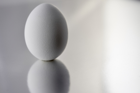 White egg with silver reflective background. Easter concept. Copy space.の写真素材