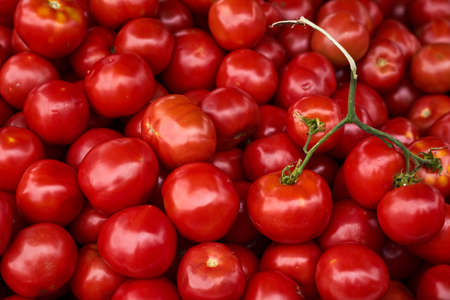 Red tomatoes in a market as a natural background.