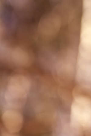 Blurred brown bokeh as an abstract background.の写真素材