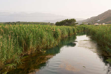 Mountain river with overgrown banks in Crete with foggy mountains on the background.