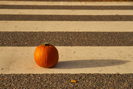 Pumpkin on the crossroad in sunlight with shadowの写真素材