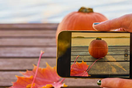 A woman is taking a picture of pumpkin and autumn leaves with lake on the backgroundの写真素材