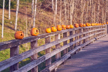 Orange halloween pumpkins on the wooden bridgeの写真素材
