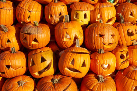 Orange carved halloween pumpkins as a backgroundの写真素材