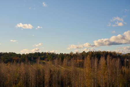 Autumn forest under blue sky with clouds