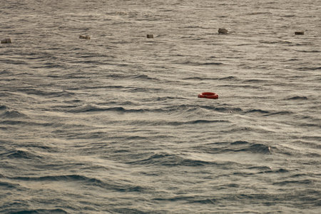 A lifebuoy on the surface of a waving sea