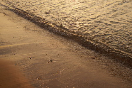 Waves on the tropical sandy beach of the red sea
