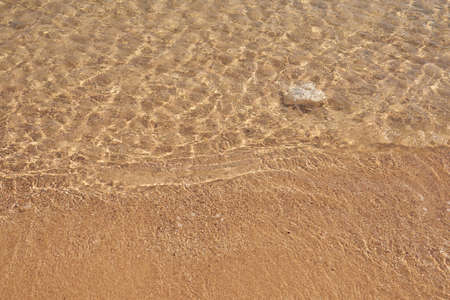 Waves on the tropical sandy beach of the red sea.の写真素材