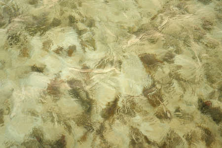 Waves on the surface of the turquoise tropical sea.