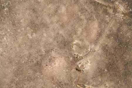 The icy surface of a frozen puddle as a natural backdrop.の写真素材