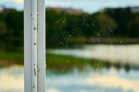 A web with a blurred lake and forest in the backgroundの写真素材