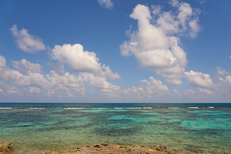 Tropical sandy beach with clear water as a backdrop.の写真素材