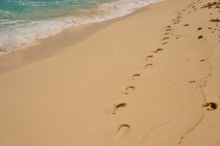 Footprints and waves with foam on the Caribbean coast in Mexico.の写真素材