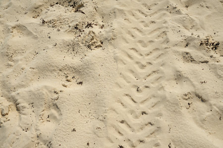 Traces of wheels in the sand as a backgroundの写真素材