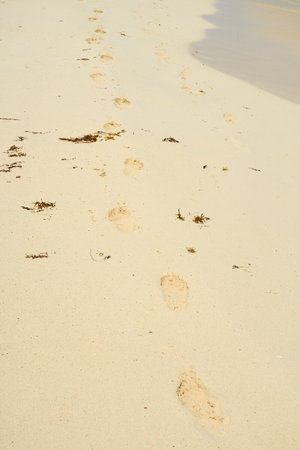 Footprints in the sand on a sandy beach as a backdropの写真素材