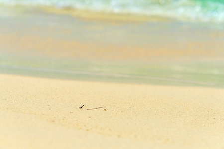 Waves with foam on the Caribbean coast in Mexicoの写真素材