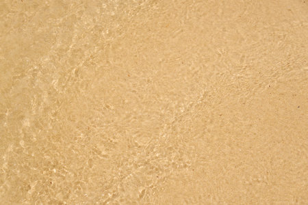 Wet sand in the desert with a pattern from the wind as a backgroundの写真素材