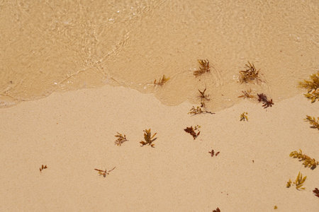 Wet sand on the beach with a pattern from the wind as a backgroundの写真素材