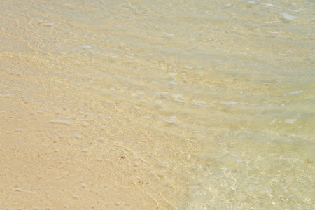Wet sand in the desert with a pattern from the wind as a backgroundの写真素材