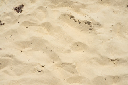 Sand in the desert with a pattern from the wind as a backgroundの写真素材