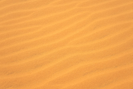 The texture of sand in the desert as a natural background
