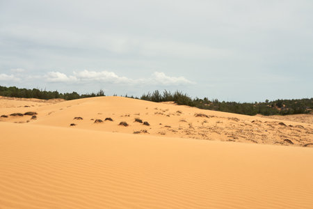 The texture of sand in the desert as a natural backgroundの写真素材