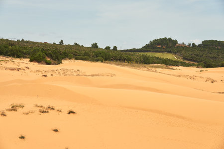 The texture of sand in the desert as a natural backgroundの写真素材