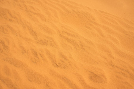 The texture of sand in the desert as a natural backgroundの写真素材