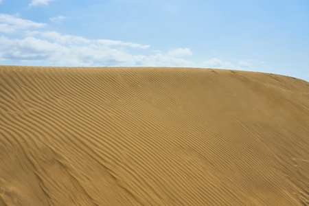 Sand dune in the desert with clouds in the backgroundの写真素材