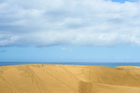 Sand dune in the desert with sea in the backgroundの写真素材