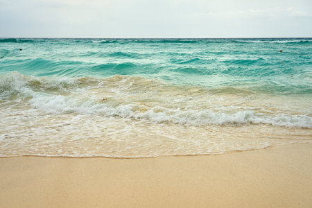 Waves and foam on a tropical sandy beach.の写真素材