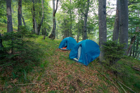 Campspot in the green forest with blue tent at daylight in the mountains after hikingの写真素材