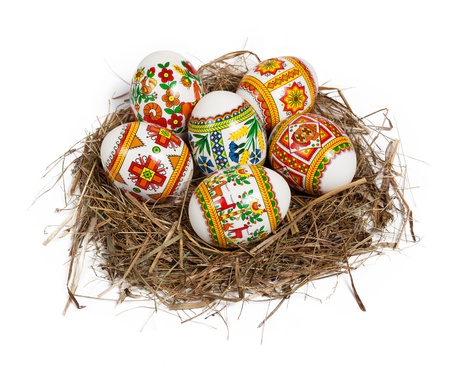 Easter eggs in nest isolated on whiteの写真素材