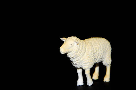 Plastic toy sheep on a black background. Realistic toy  Copy Spaceの写真素材